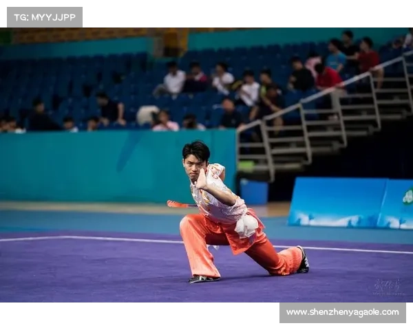 2015年全国武术锦标赛