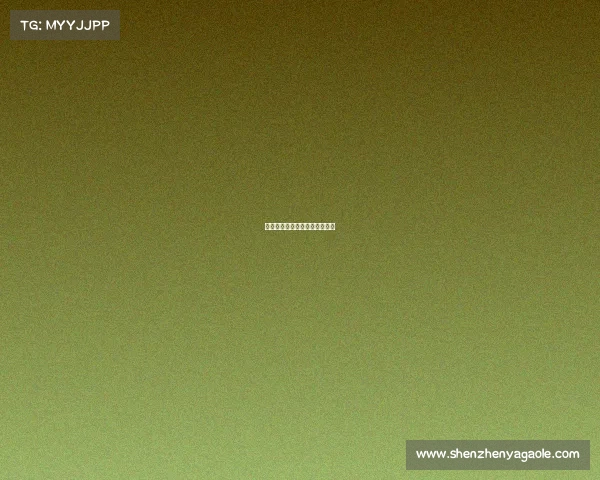 张家口赛事新闻发布会图文实录