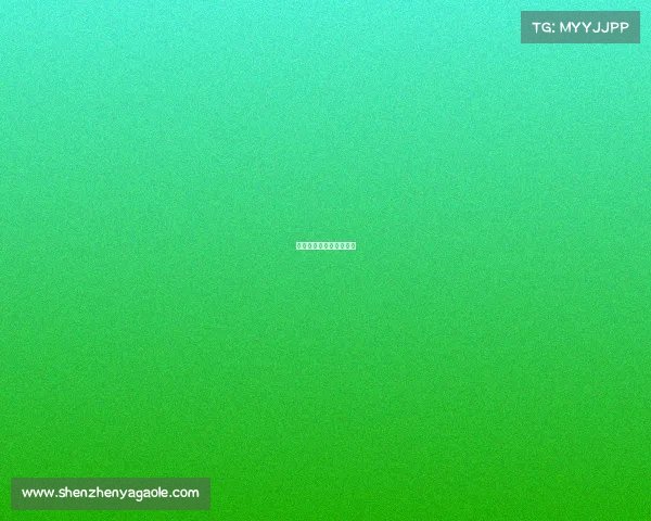 最新职业搏击赛事有哪些